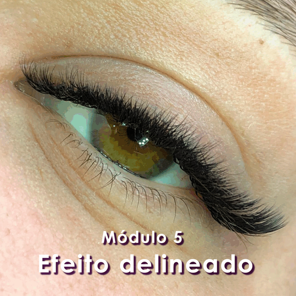 modulos_05