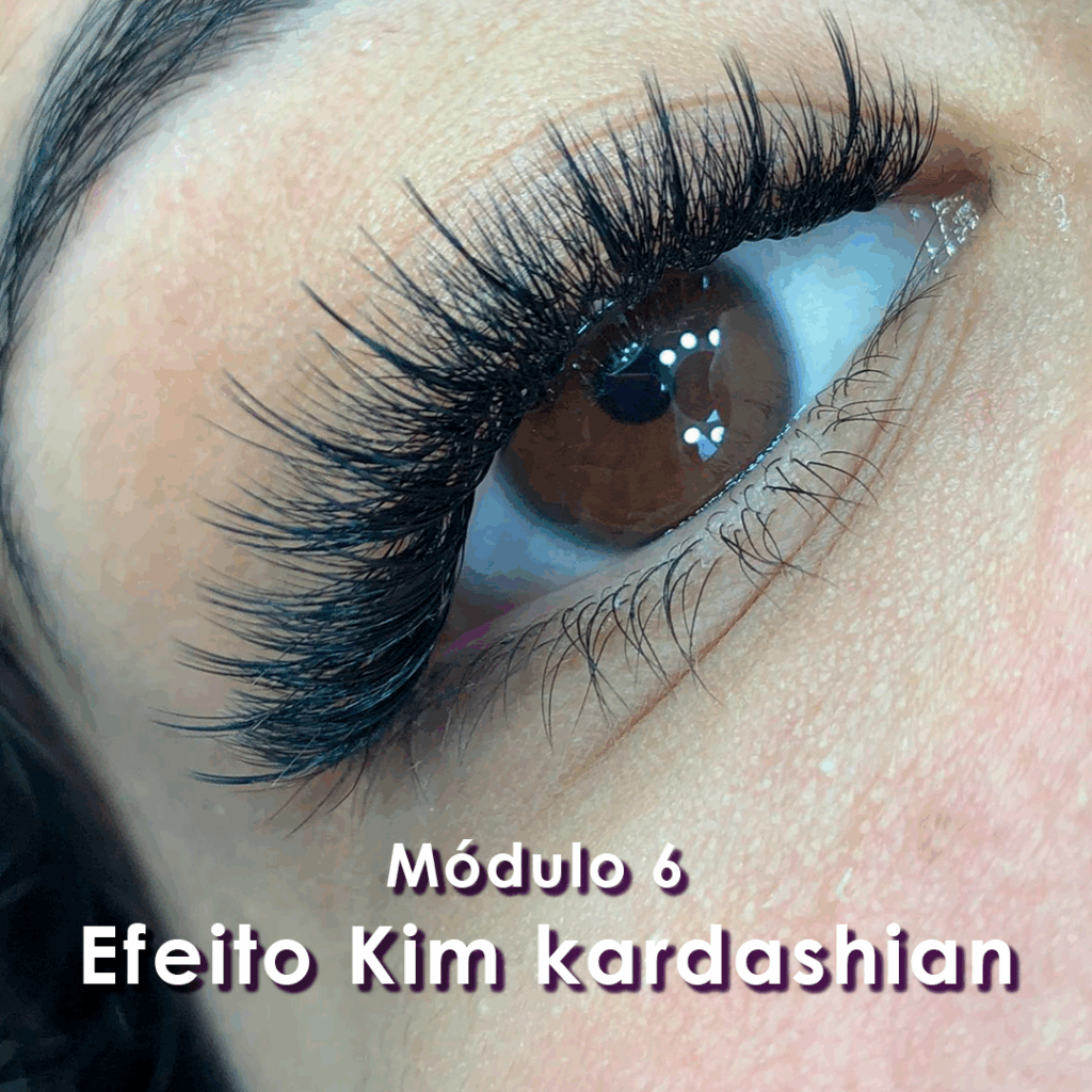 modulos_06